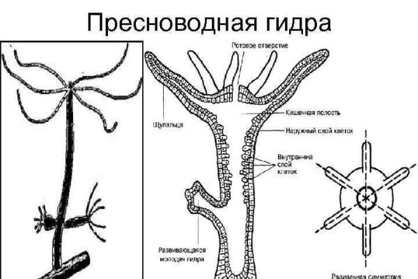 Как восстановить аккаунт на кракене даркнет