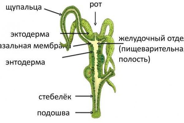 Найти ссылку на кракен