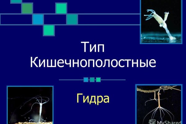 Kraken сайт вход