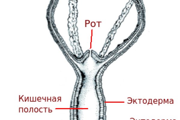 Кракен зеркало krk market com