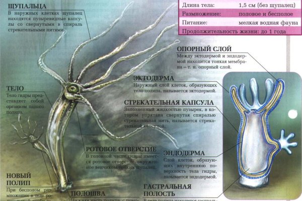 Кракен не грузит