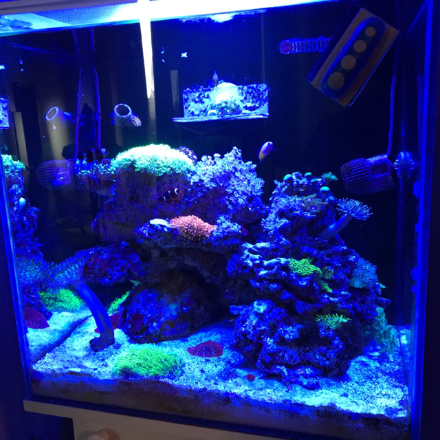 Kraken даркнет рынок ссылка