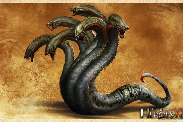 Kraken 24 top