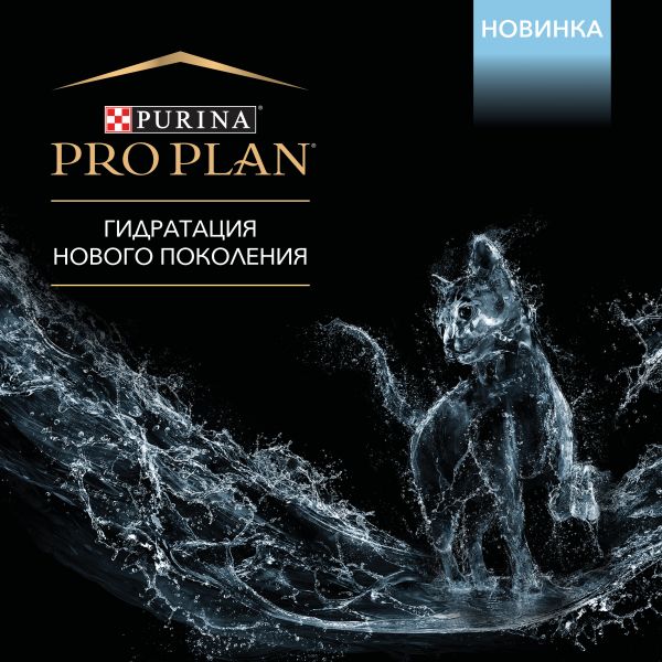 Кракен вход рабочий